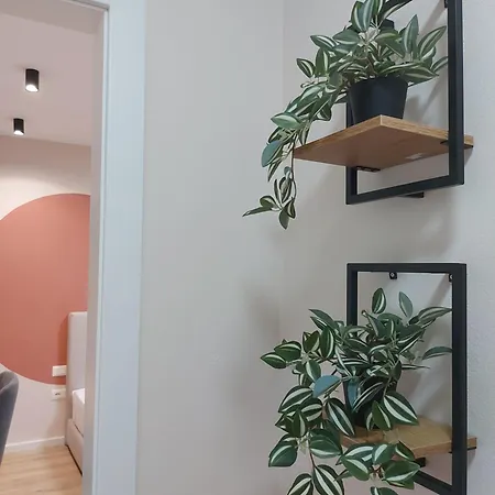 Center Cozy Nest *