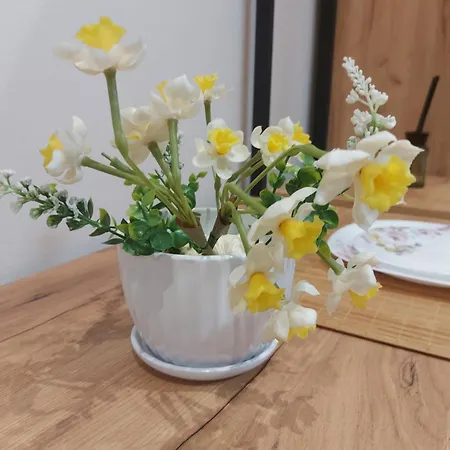 Center Cozy Nest 3* Tirana