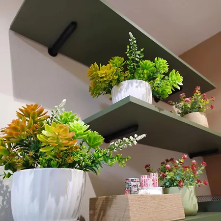 ゲストハウス Center Cozy Nest 3*