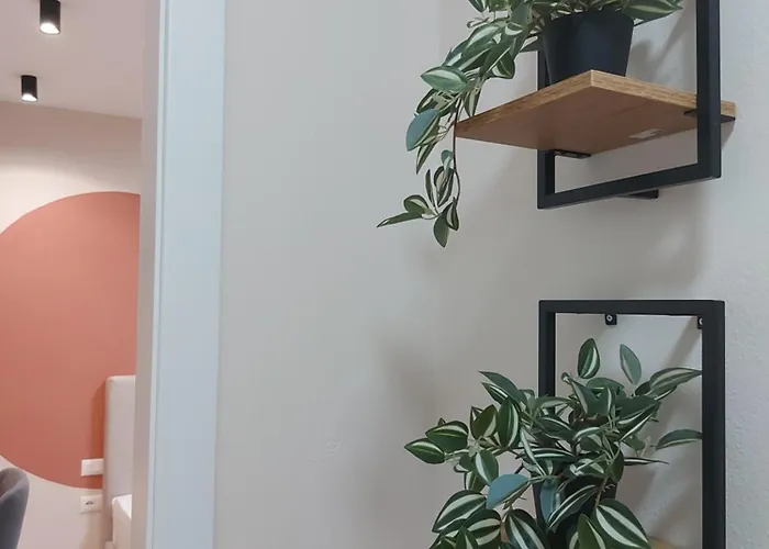 Center Cozy Nest 3*
