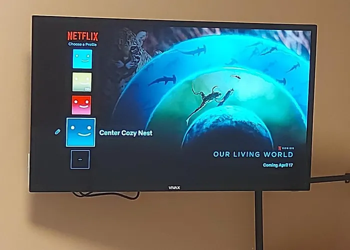 Center Cozy Nest 地拉那