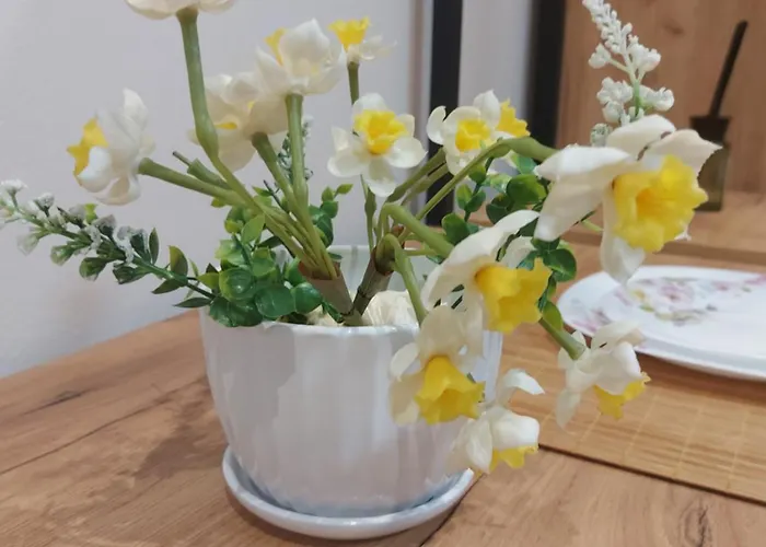 Center Cozy Nest 3* 地拉那