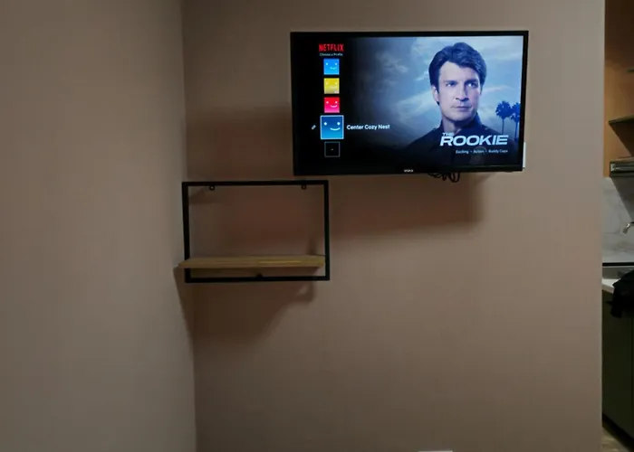 Center Cozy Nest 招待所 地拉那