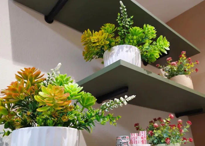 招待所 Center Cozy Nest 3*