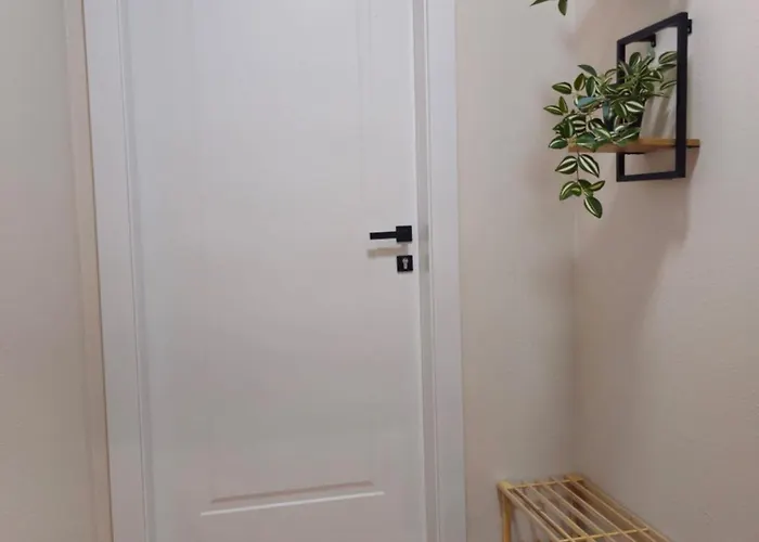 Center Cozy Nest 3* 地拉那